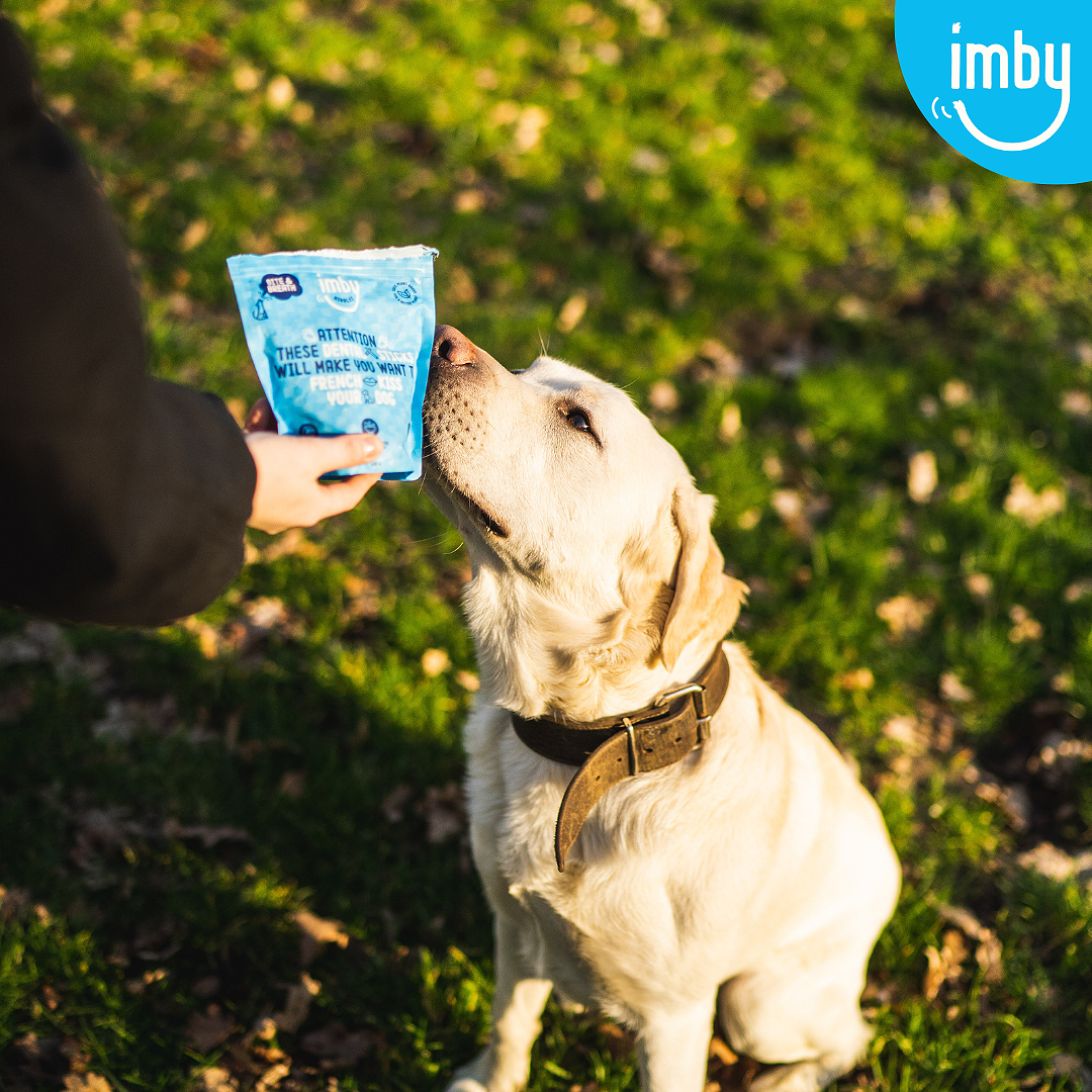 Imby Pet Food - Hondensnacks - Tandensticks met munt en peterselie