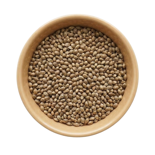 Boekweit
