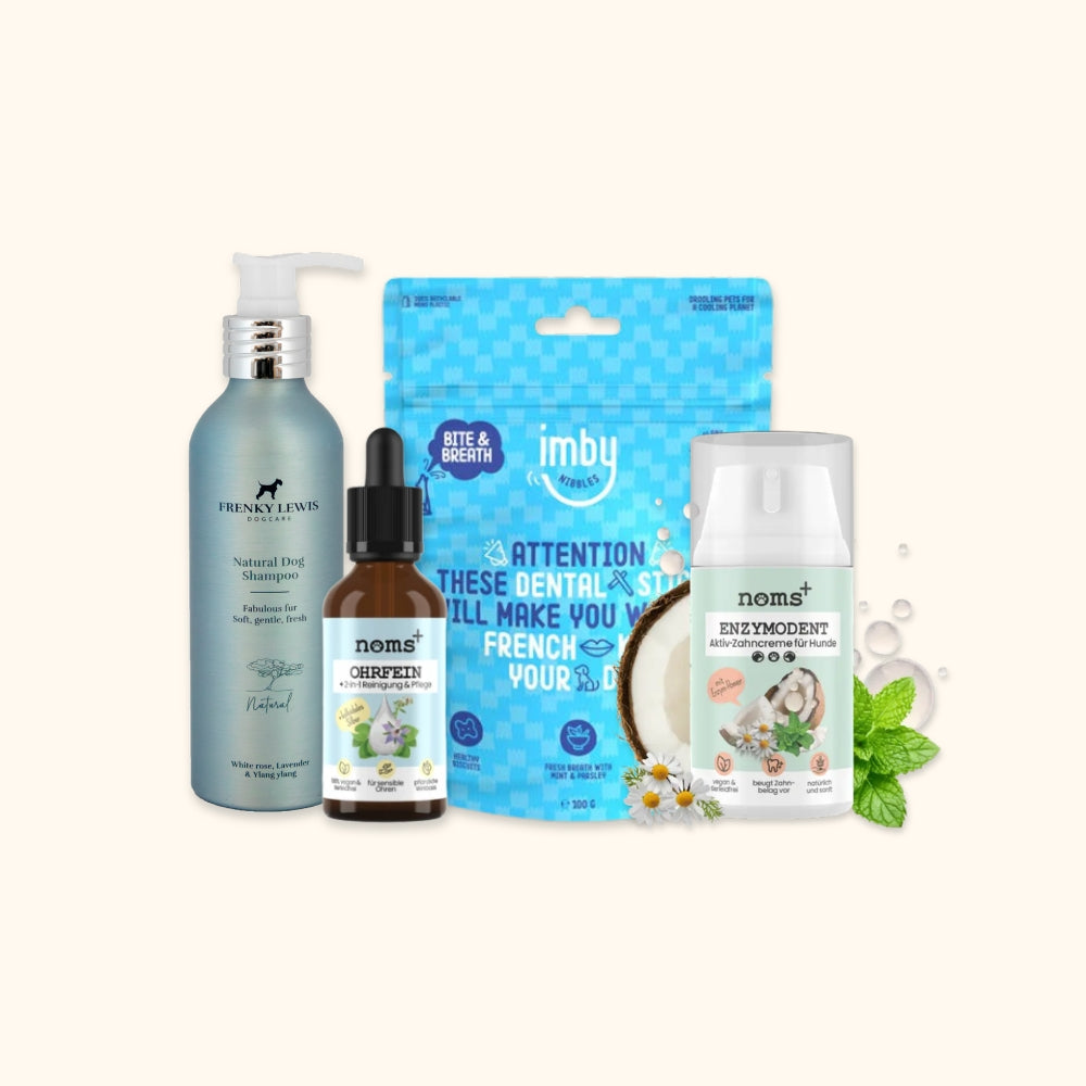 Care Bundle