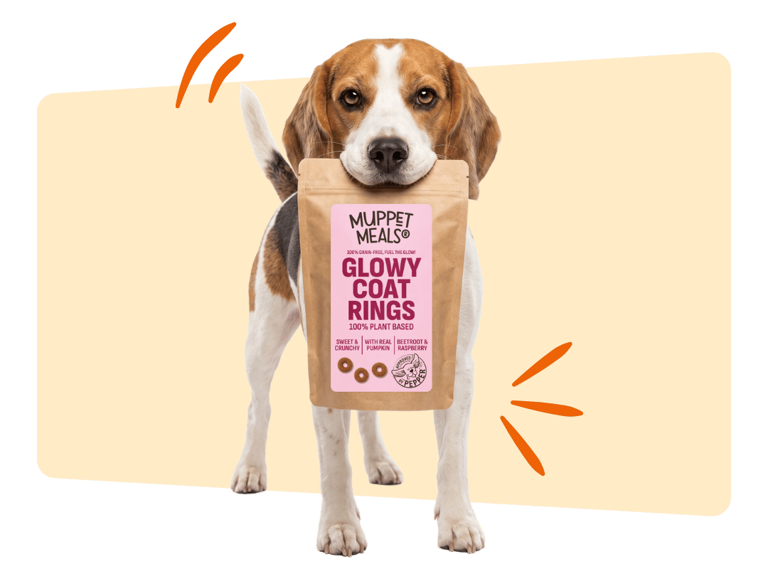Laat jouw hond als allereerste proeven!