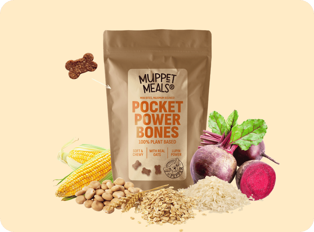 Pocket Power Bones