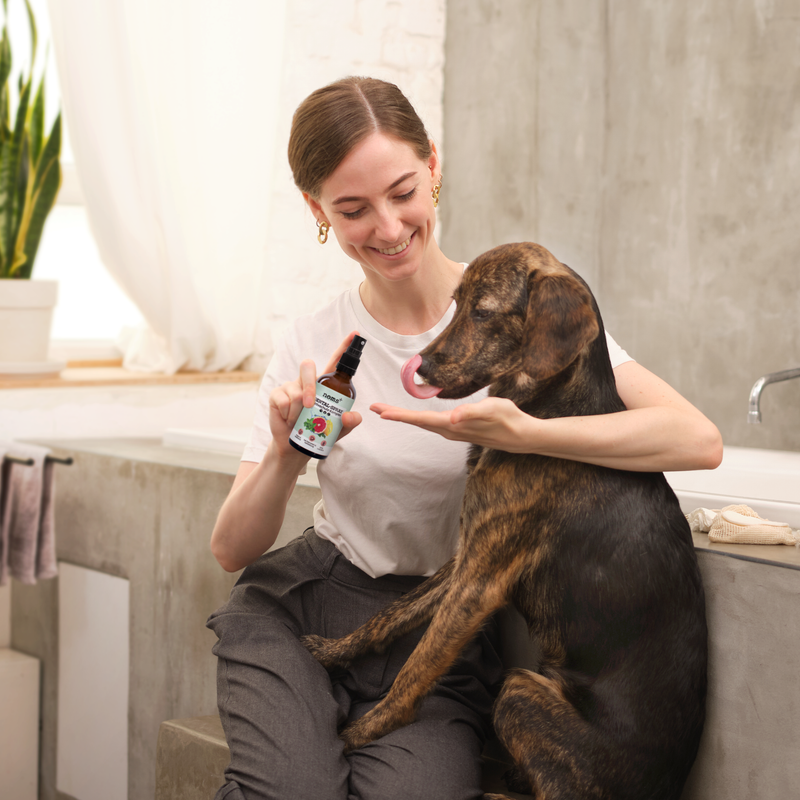Noms+ - Dental Spray voor honden en katten 50ml