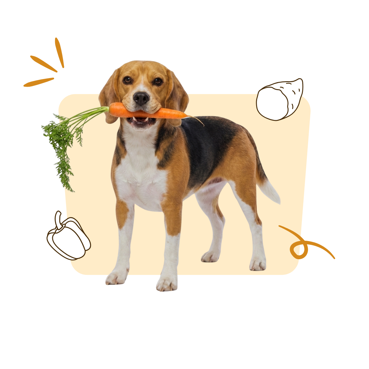Een jeukvrij leven door de kracht van planten.