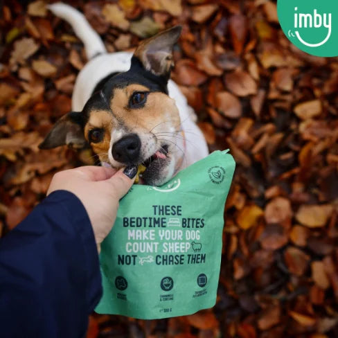 Imby Pet Food - hond die plantaardige snacks voor een goede nachtrust krijgt