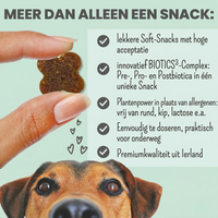 Noms+ - Probio Belly snacks met prebiotica, probiotica en postbiotica