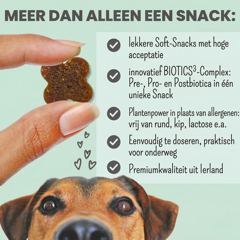 Noms+ - Probio Belly snacks met prebiotica, probiotica en postbiotica