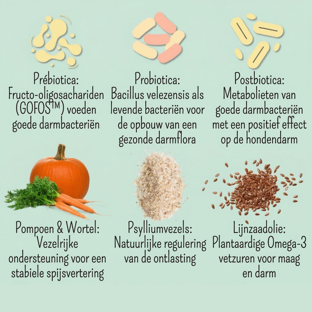 Noms+ - Probio Belly snacks met prebiotica, probiotica en postbiotica