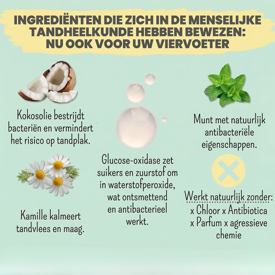 Noms+ - Enzymatische tandpasta met natuurlijke verzorgings- en preventieformule