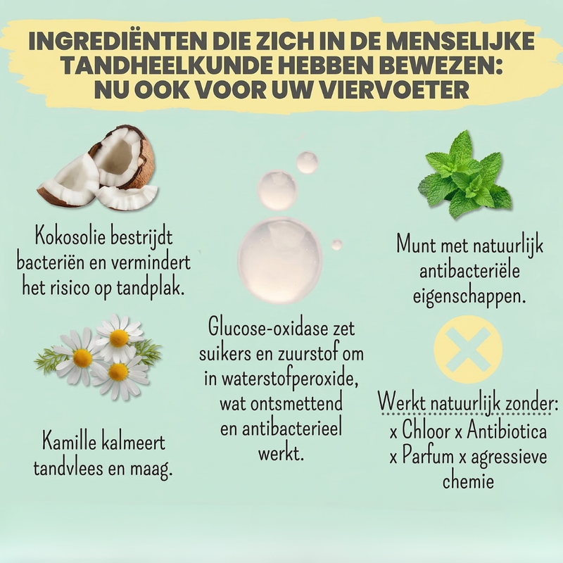 Noms+ - Enzymatische tandpasta met natuurlijke verzorgings- en preventieformule
