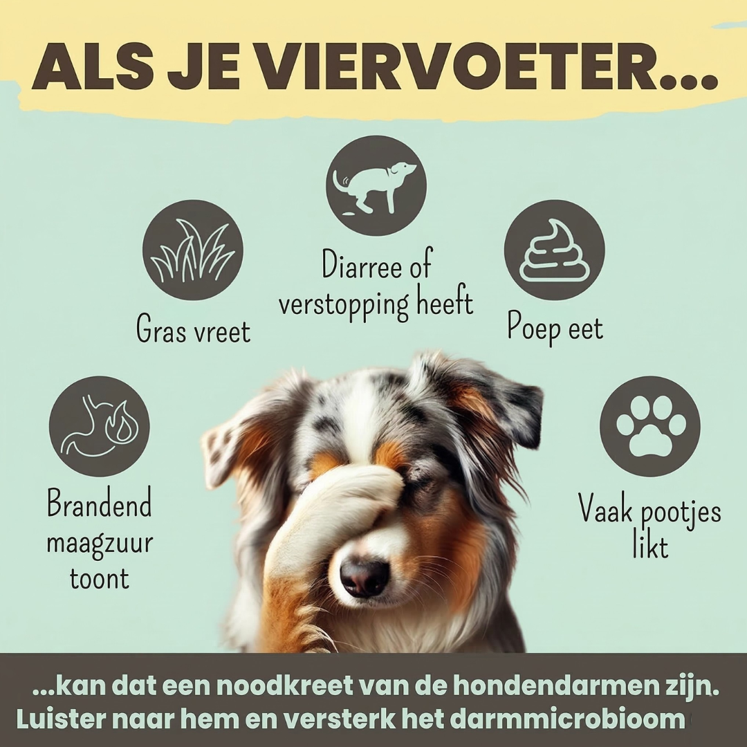 Noms+ - Probio Belly snacks met prebiotica, probiotica en postbiotica