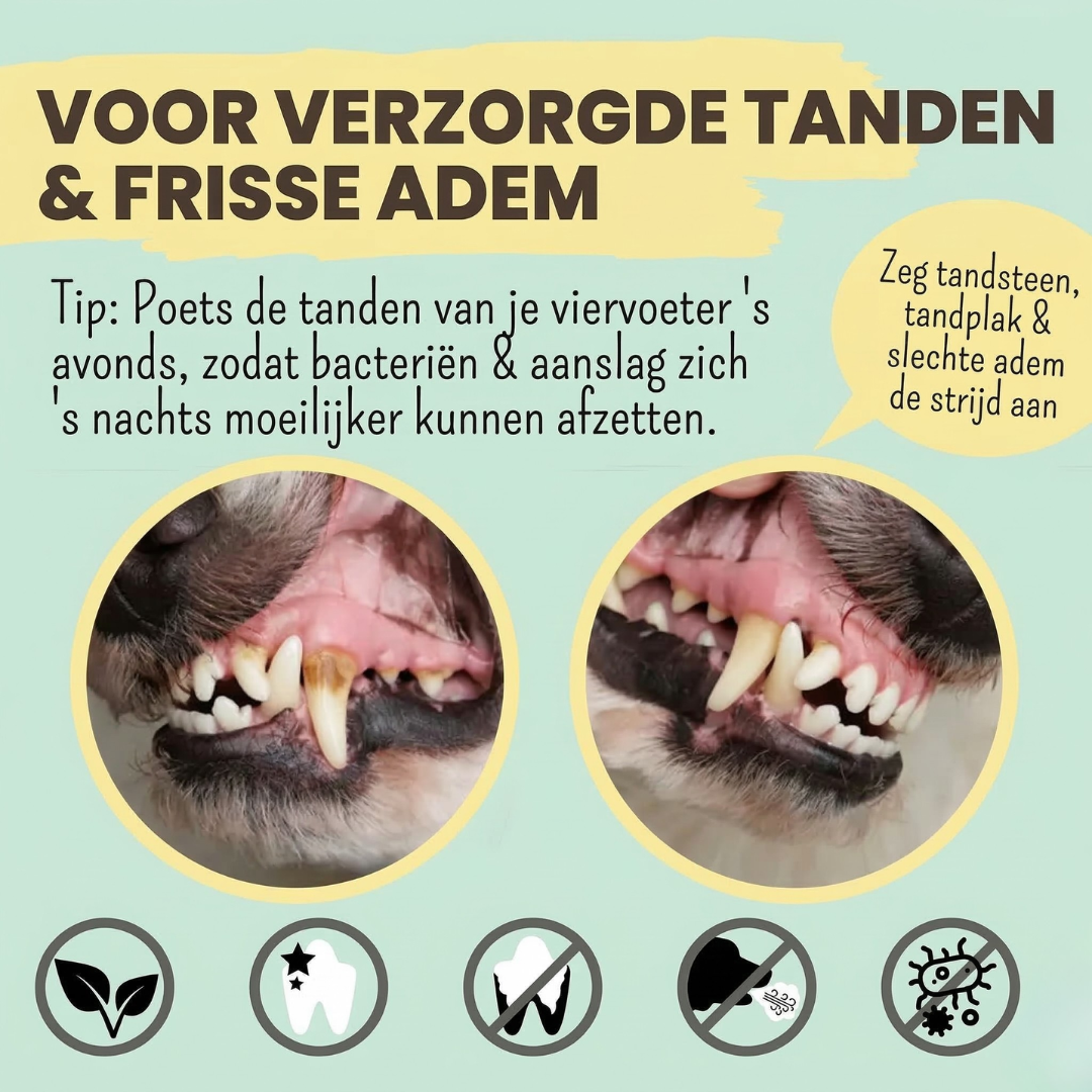 Noms+ - Enzymatische tandpasta met natuurlijke verzorgings- en preventieformule