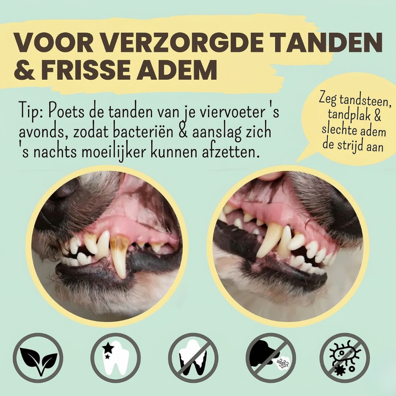 Noms+ - Enzymatische tandpasta met natuurlijke verzorgings- en preventieformule