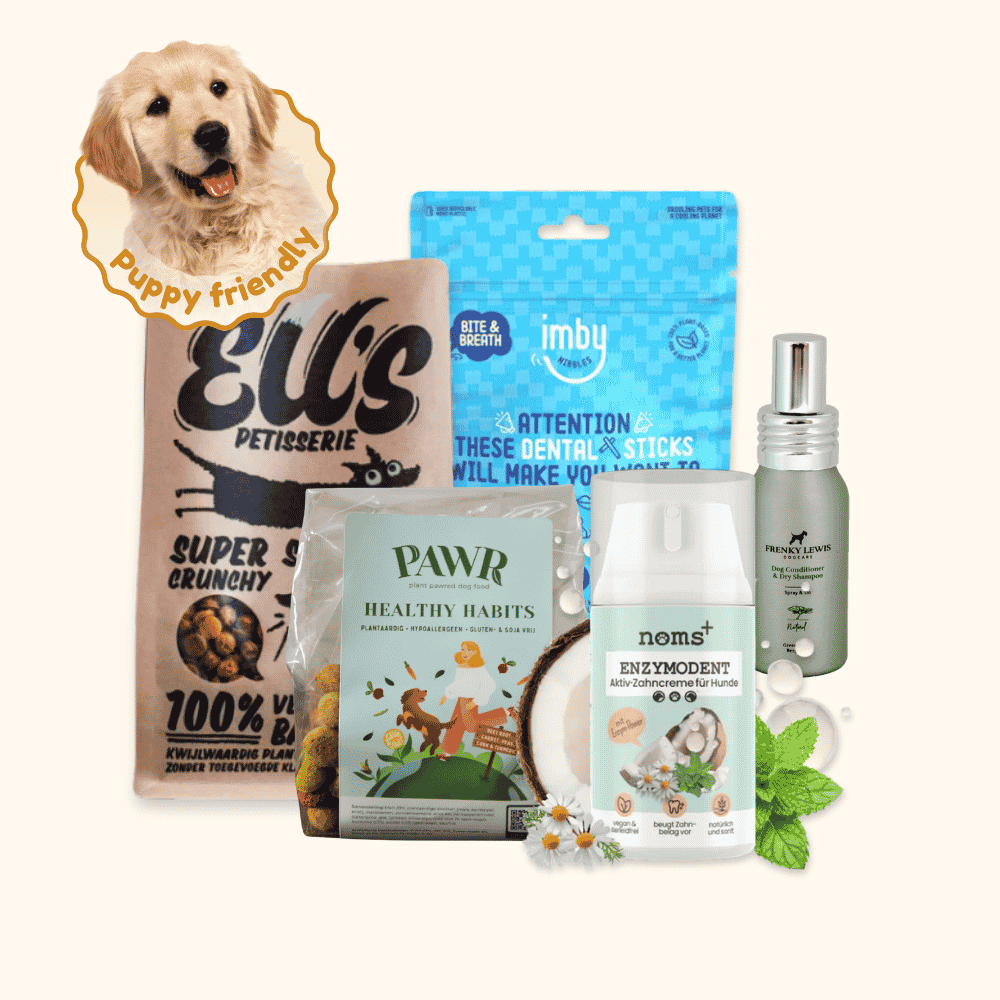Puppy Starter Kit