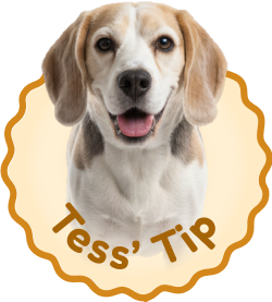 Tess Tip