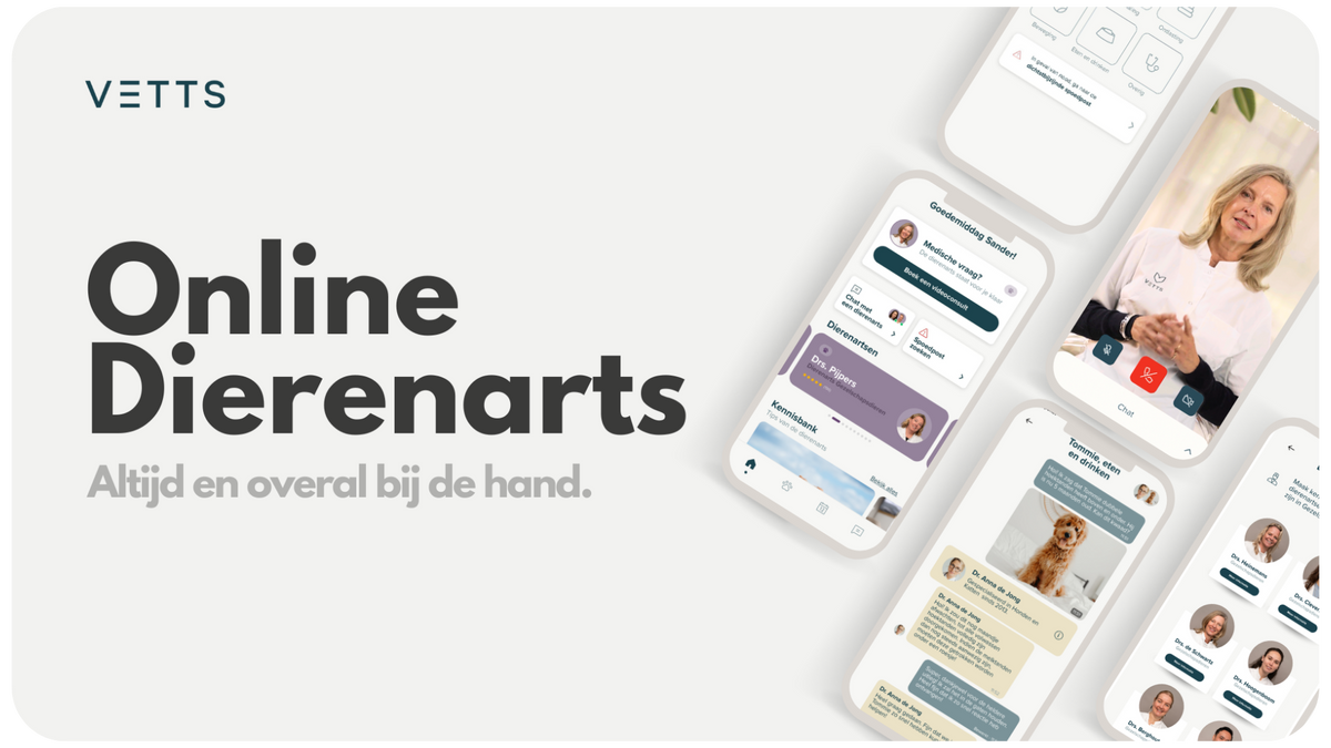 Bespaar € 44,99 op je eerste consult bij VETTS.