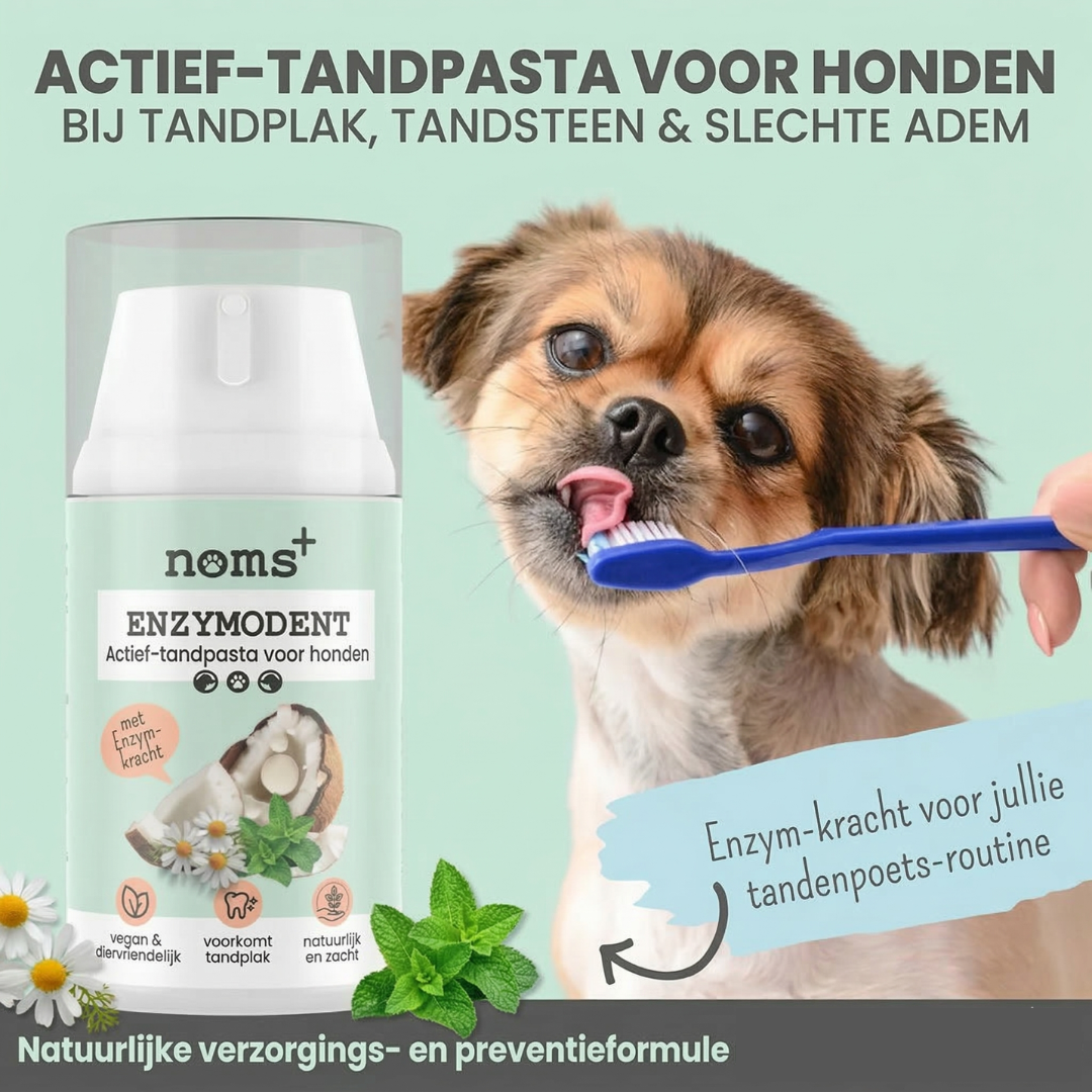 Noms+ - Enzymatische tandpasta met natuurlijke verzorgings- en preventieformule