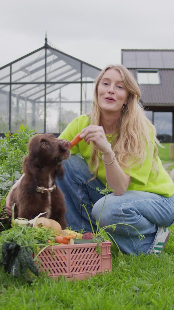 Pawr - Healthy Habits Plantaardig Hondenvoer
